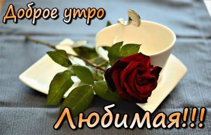Открытки с добрым утром любимая Открытка красивая для любимой с пожеланиями доброго утра, доброе утро Открытка любимая доброе утро, картинка любимой с добрым утром, открытки картинки пожелания доброго утра любимой, с добрым утром любимая открытка скачать бесплатно
