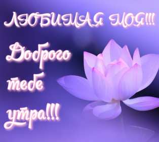 Открытки с добрым утром любимая Открытка красивая для любимой с пожеланиями доброго утра, доброе утро Открытка любимая доброе утро, картинка любимой с добрым утром, открытки картинки пожелания доброго утра любимой, с добрым утром любимая открытка скачать бесплатно