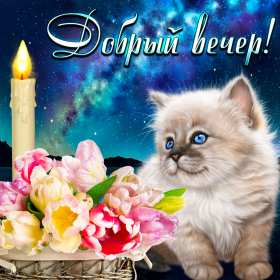 добрый вечер! красивые открытки добрый вечер, откртытки с пожеланием доброго вечера красивые открытки добрый вечер, откртытки с пожеланием доброго вечера, открытки с чашечкой чая, цветами, открытки добрый вечер с котиком, свечами, эстетичные открытки добрый вечер