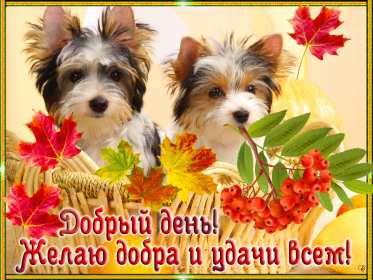 Открытка! открытки красивые с пожеланем дорого денечка, открытки добрый день