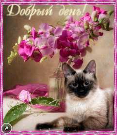 Открытка! открытки красивые с пожеланем дорого денечка, открытки добрый день