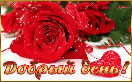 добрый день! открытки красивые с пожеланем дорого денечка, открытки добрый день открытки красивые с пожеланем дорого денечка, открытки добрый день, открыки с изображением цветов, открытки добрый день с изображением котиков, чашечкой чая, угощениями