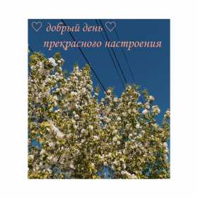 добрый день! открытки красивые с пожеланем дорого денечка, открытки добрый день открытки красивые с пожеланем дорого денечка, открытки добрый день, открыки с изображением цветов, открытки добрый день с изображением котиков, чашечкой чая, угощениями