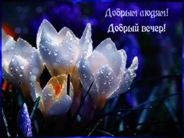 Открытка! открытки красивые с пожеланиями доброго, прекрасного вечера