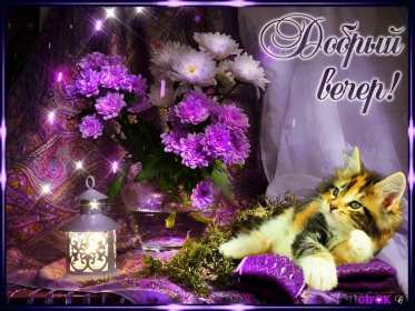 добрый вечер! открытки красивые с пожеланиями доброго, прекрасного вечера открытки красивые с пожеланиями доброго, прекрасного вечера, открытки добрый вечер с цветами, картинки с пожеланиями с котиками, открытки добрый вечер с кофе, открытки добрый вечер с букетом цветов,