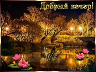 добрый вечер! открытки красивые с пожеланиями доброго, прекрасного вечера открытки красивые с пожеланиями доброго, прекрасного вечера, открытки добрый вечер с цветами, картинки с пожеланиями с котиками, открытки добрый вечер с кофе, вечер с букетом цветов, открытки-гифы