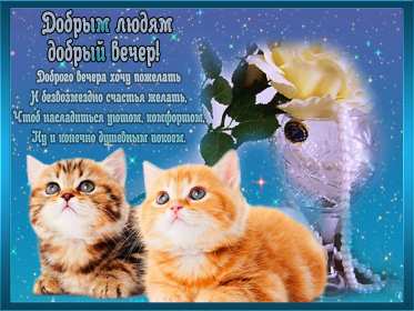 добрый вечер! открытки красивые с пожеланиями доброго, прекрасного вечера открытки красивые с пожеланиями доброго, прекрасного вечера, открытки добрый вечер с цветами, картинки с пожеланиями с котиками, открытки добрый вечер с кофе, вечер с букетом цветов, открытки-гифы