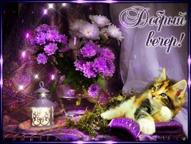 добрый вечер! открытки красивые с пожеланиями доброго, прекрасного вечера открытки красивые с пожеланиями доброго, прекрасного вечера, открытки добрый вечер с цветами, картинки с пожеланиями с котиками, открытки добрый вечер с кофе, вечер с букетом цветов, открытки-гифы