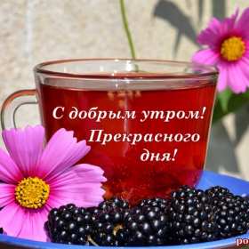 Открытка! открытки прекрасного денечка, открытки с пожеланием прекрасного дня