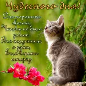 Открытка! открытки чудесного дня, красивые открытки с пожеланием чудесного дня