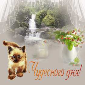 Открытка! открытки чудесного дня, красивые открытки с пожеланием чудесного дня
