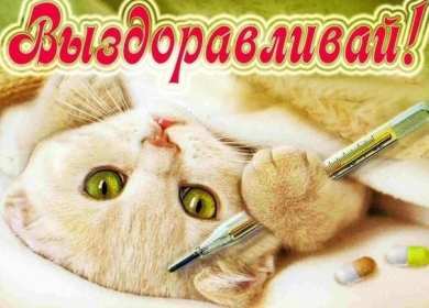 Выздоравливай Открытка выздоравливай, поправляйся, пожелания выздоровления Картинка открытка поправляйся, открытки картинки выздоравливай, не болей, пожелания скорейшего выздоровления, красивые открытки с пожеланиями выздоровления скачать