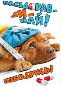 Выздоравливай Открытка выздоравливай, поправляйся, пожелания выздоровления Картинка открытка поправляйся, открытки картинки выздоравливай, не болей, пожелания скорейшего выздоровления, красивые открытки с пожеланиями выздоровления скачать