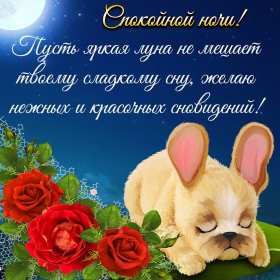 Спокойной ночи Открытка доброй ночи, спокойной ночи, пожелания спокойной ночи Открытка картина добрых снов, спокойной ночи, открытки картинки сладких снов спокойной ночи, яркие картинки открытки спокойной ночи, доброй ночи скачать бесплатно