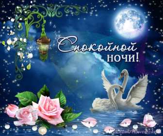 Спокойной ночи Открытка доброй ночи, спокойной ночи, пожелания спокойной ночи Открытка картина добрых снов, спокойной ночи, открытки картинки сладких снов спокойной ночи, яркие картинки открытки спокойной ночи, доброй ночи скачать бесплатно
