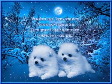 Спокойной ночи Открытка доброй ночи, спокойной ночи, пожелания спокойной ночи Открытка картина добрых снов, спокойной ночи, открытки картинки сладких снов спокойной ночи, яркие картинки открытки спокойной ночи, доброй ночи скачать бесплатно