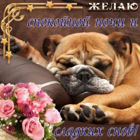 Спокойной ночи Открытка доброй ночи, спокойной ночи, пожелания спокойной ночи Открытка картина добрых снов, спокойной ночи, открытки картинки сладких снов спокойной ночи, яркие картинки открытки спокойной ночи, доброй ночи скачать бесплатно