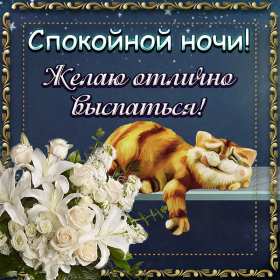 Спокойной ночи Открытка доброй ночи, спокойной ночи, пожелания спокойной ночи Открытка картина добрых снов, спокойной ночи, открытки картинки сладких снов спокойной ночи, яркие картинки открытки спокойной ночи, доброй ночи скачать бесплатно