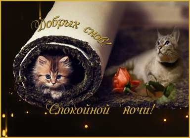Спокойной ночи Открытка доброй ночи, спокойной ночи, пожелания спокойной ночи Открытка картина добрых снов, спокойной ночи, открытки картинки сладких снов спокойной ночи, яркие картинки открытки спокойной ночи, доброй ночи скачать бесплатно