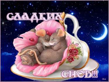 Спокойной ночи Открытка доброй ночи, спокойной ночи, пожелания спокойной ночи Открытка картина добрых снов, спокойной ночи, открытки картинки сладких снов спокойной ночи, яркие картинки открытки спокойной ночи, доброй ночи скачать бесплатно