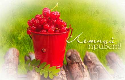 летний привет Открытка картинка летняя летний привет, приветик, летний . Картинки открытки летний привет, летний приветик, открытка картинка летний привет, передаю летний приветик, яркие красивые открытки летний привет скачать бесплатно