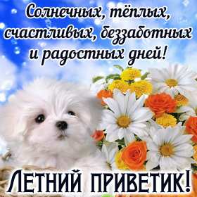 летний привет Открытка картинка летняя летний привет, приветик, летний . Картинки открытки летний привет, летний приветик, открытка картинка летний привет, передаю летний приветик, яркие красивые открытки летний привет скачать бесплатно