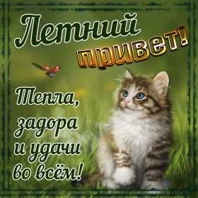 летний привет Открытка картинка летняя летний привет, приветик, летний . Картинки открытки летний привет, летний приветик, открытка картинка летний привет, передаю летний приветик, яркие красивые открытки летний привет скачать бесплатно