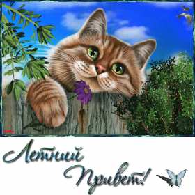 летний привет Открытка картинка летняя летний привет, приветик, летний . Картинки открытки летний привет, летний приветик, открытка картинка летний привет, передаю летний приветик, яркие красивые открытки летний привет скачать бесплатно