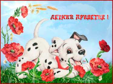 летний привет Открытка картинка летняя летний привет, приветик, летний . Картинки открытки летний привет, летний приветик, открытка картинка летний привет, передаю летний приветик, яркие красивые открытки летний привет скачать бесплатно