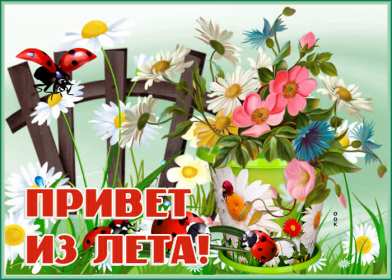 летний привет Открытка картинка летняя летний привет, приветик, летний . Картинки открытки летний привет, летний приветик, открытка картинка летний привет, передаю летний приветик, яркие красивые открытки летний привет скачать бесплатно