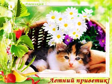летний привет Открытка картинка летняя летний привет, приветик, летний . Картинки открытки летний привет, летний приветик, открытка картинка летний привет, передаю летний приветик, яркие красивые открытки летний привет скачать бесплатно