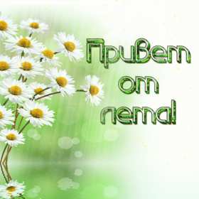 летний привет Открытка картинка летняя летний привет, приветик, летний . Картинки открытки летний привет, летний приветик, открытка картинка летний привет, передаю летний приветик, яркие красивые открытки летний привет скачать бесплатно