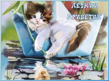 летний привет Открытка картинка летняя летний привет, приветик, летний . Картинки открытки летний привет, летний приветик, открытка картинка летний привет, передаю летний приветик, яркие красивые открытки летний привет скачать бесплатно