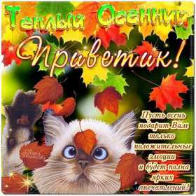 осенний привет Открытка картинка с осенним приветом, приветик осенний, осени, Картинка открытка осенний привет, приветик, картинки открытки привет осени, осенний, яркие осенние открытки с осенним приветом, приветом осени скачать бесплатно