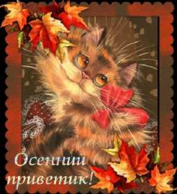 осенний привет Открытка картинка с осенним приветом, приветик осенний, осени, Картинка открытка осенний привет, приветик, картинки открытки привет осени, осенний, яркие осенние открытки с осенним приветом, приветом осени скачать бесплатно