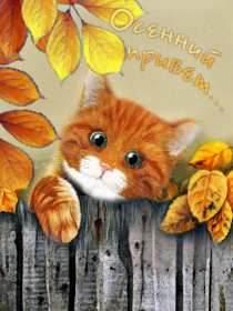 осенний привет Открытка картинка с осенним приветом, приветик осенний, осени, Картинка открытка осенний привет, приветик, картинки открытки привет осени, осенний, яркие осенние открытки с осенним приветом, приветом осени скачать бесплатно