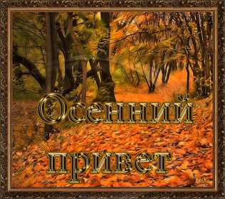 осенний привет Открытка картинка с осенним приветом, приветик осенний, осени, Картинка открытка осенний привет, приветик, картинки открытки привет осени, осенний, яркие осенние открытки с осенним приветом, приветом осени скачать бесплатно