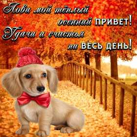 осенний привет Открытка картинка с осенним приветом, приветик осенний, осени, Картинка открытка осенний привет, приветик, картинки открытки привет осени, осенний, яркие осенние открытки с осенним приветом, приветом осени скачать бесплатно