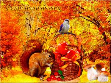 осенний привет Открытка картинка с осенним приветом, приветик осенний, осени, Картинка открытка осенний привет, приветик, картинки открытки привет осени, осенний, яркие осенние открытки с осенним приветом, приветом осени скачать бесплатно