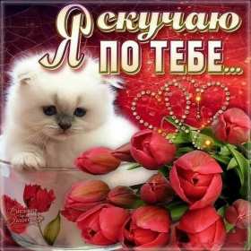 Скучаю Открытка картинка скучаю, с надписью скучаю, очень скучаю . Открытка картинка скучаю открытки картинки красивые яркие скучаю, с надписью скучаю, красочная картинка открытка скучаю, я скучаю по тебе открытка скачать бюесплатно