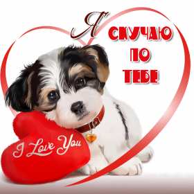 Скучаю Открытка картинка скучаю, с надписью скучаю, очень скучаю . Открытка картинка скучаю открытки картинки красивые яркие скучаю, с надписью скучаю, красочная картинка открытка скучаю, я скучаю по тебе открытка скачать бюесплатно