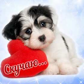 Скучаю Открытка картинка скучаю, с надписью скучаю, очень скучаю . Открытка картинка скучаю открытки картинки красивые яркие скучаю, с надписью скучаю, красочная картинка открытка скучаю, я скучаю по тебе открытка скачать бюесплатно