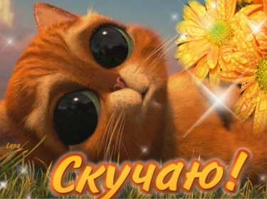 Скучаю Открытка картинка скучаю, с надписью скучаю, очень скучаю . Открытка картинка скучаю открытки картинки красивые яркие скучаю, с надписью скучаю, красочная картинка открытка скучаю, я скучаю по тебе открытка скачать бюесплатно