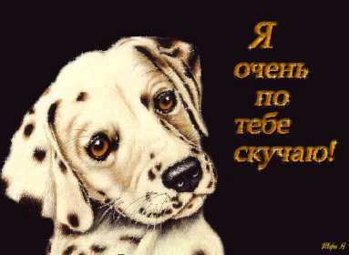 Скучаю Открытка картинка скучаю, с надписью скучаю, очень скучаю . Открытка картинка скучаю открытки картинки красивые яркие скучаю, с надписью скучаю, красочная картинка открытка скучаю, я скучаю по тебе открытка скачать бюесплатно