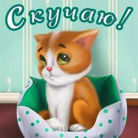 Скучаю Открытка картинка скучаю, с надписью скучаю, очень скучаю . Открытка картинка скучаю открытки картинки красивые яркие скучаю, с надписью скучаю, красочная картинка открытка скучаю, я скучаю по тебе открытка скачать бюесплатно