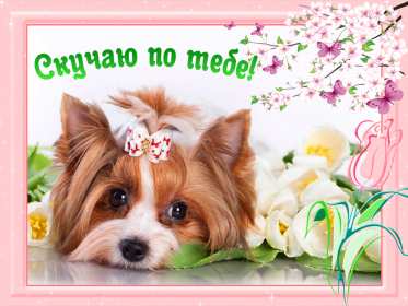 Скучаю Открытка картинка скучаю, с надписью скучаю, очень скучаю . Открытка картинка скучаю открытки картинки красивые яркие скучаю, с надписью скучаю, красочная картинка открытка скучаю, я скучаю по тебе открытка скачать бюесплатно