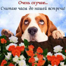 Скучаю Открытка картинка скучаю, с надписью скучаю, очень скучаю . Открытка картинка скучаю открытки картинки красивые яркие скучаю, с надписью скучаю, красочная картинка открытка скучаю, я скучаю по тебе открытка скачать бюесплатно