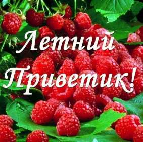 Открытка! Открытка летний привет, летний приветик, с летним приветом .