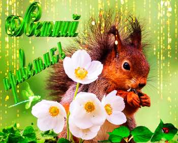 Открытка! Открытка летний привет, летний приветик, с летним приветом .