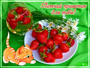 летний привет Открытка летний привет, летний приветик, с летним приветом . Открытка картинка летний привет, открытки картинки летний привет, приветик, красивые открытки летний привет, летние картинки привет, летний приветик скачать бесплатно
